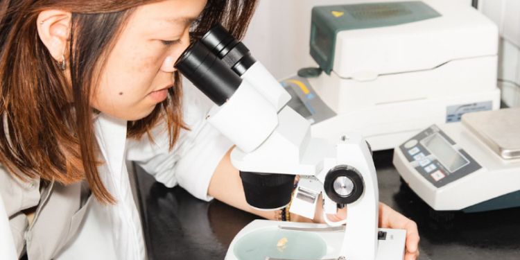 Leeds University and Entocycle reveal research program for commercialisation of UK insect farming