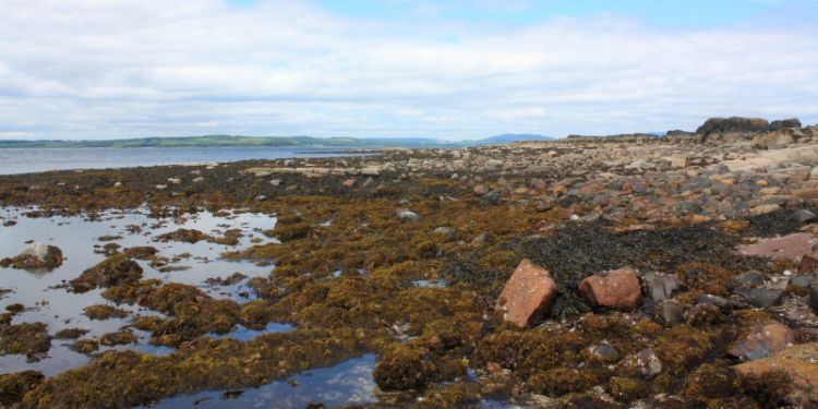 Milport Field Course