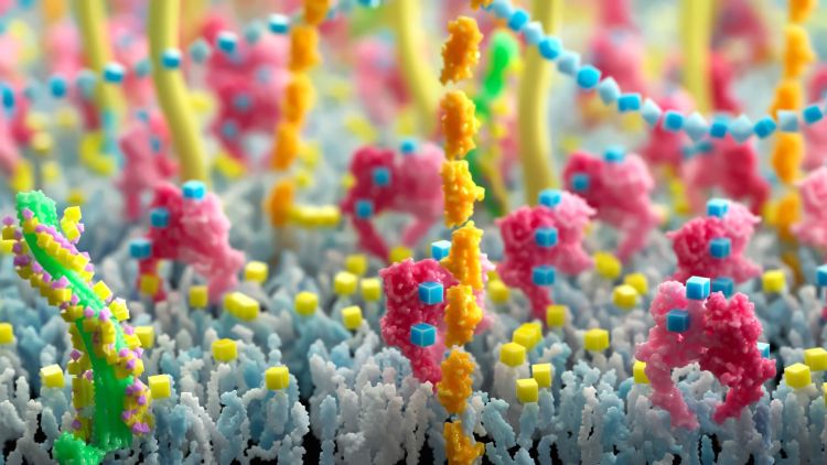 Leeds-led consortium secures €3m to pioneer next-generation antibody and cell therapies