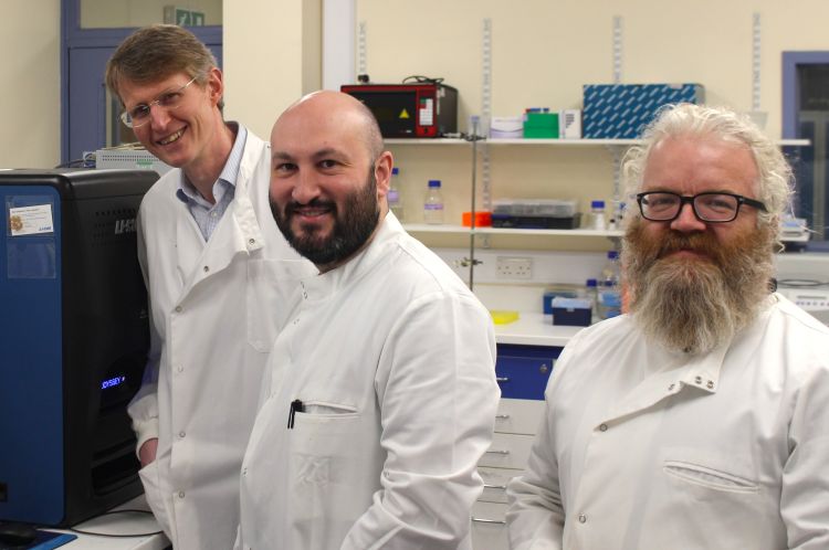 Professor bruce turnbull dr darren machin professor michael webb