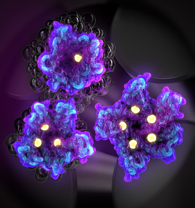 Scientists secure funding to push the boundaries of bioscience research