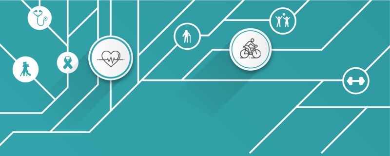 Sport and exercise science is a grand challenge within the Faculty of Biological Sciences