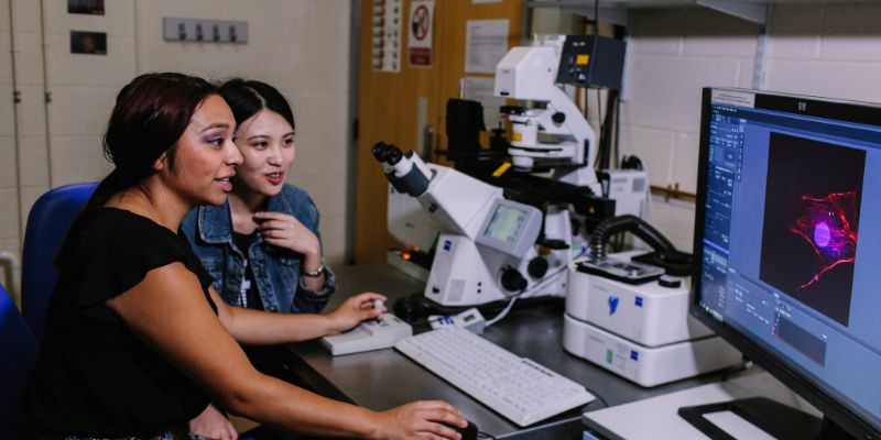 Molecular and Cellular Biology
