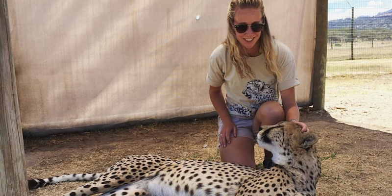 Student with cheetah during industrial placement.