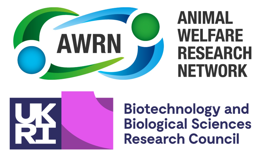Developing and validating an acoustic system as a tool to assess welfare conditions for farmed insects