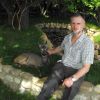 Dr Alastair Ward