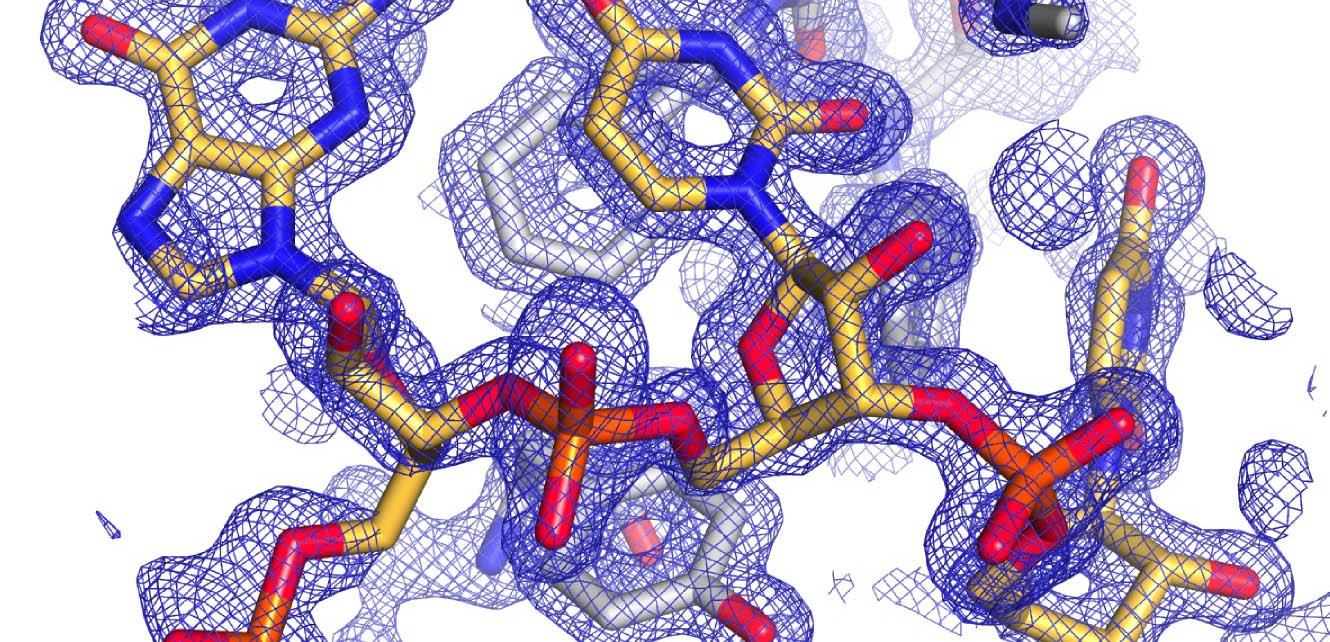 Strucural biology Dazl and RNA