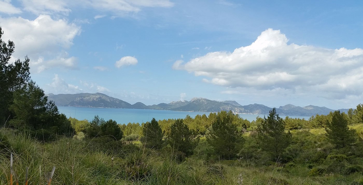Landscape image
