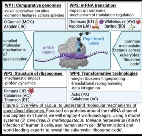 genomics graphic
