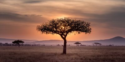 African landscape