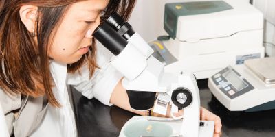An entomologist inspects black soldier fly eggs. Photo: Entocycle.