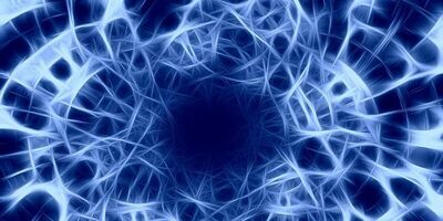 Representation of the nervous system