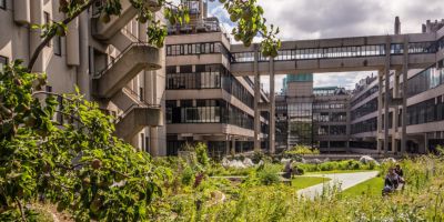Undergraduate news archive | Faculty of Biological Sciences | University of Leeds