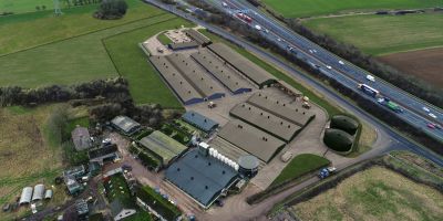 Aerial shots of pig farm