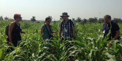 Centre for Plant Sciences researchers