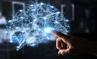 Neural Circuits theme