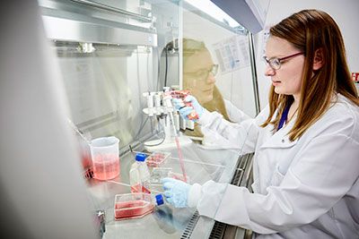 Protein Production facility culture hoods