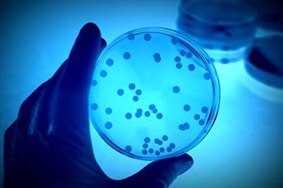 Antimicrobial resistance