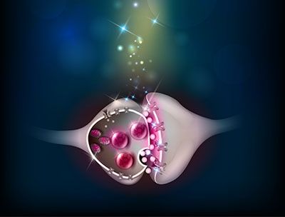 Molecular neuroscience theme