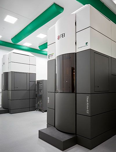 FEI Titan Krios microscopes