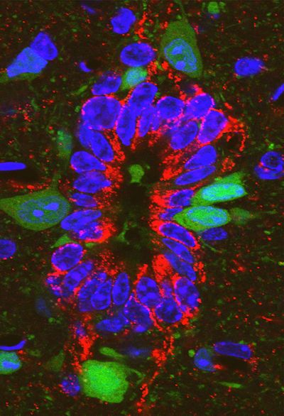 Symposium image