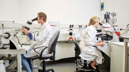 Research and Innovation in Biomedical Education