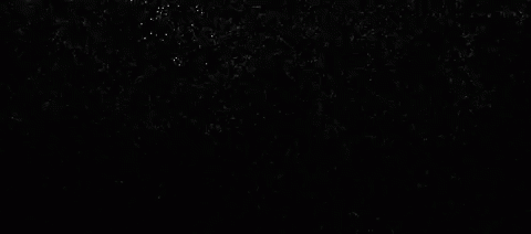 GCaMP6 neurons