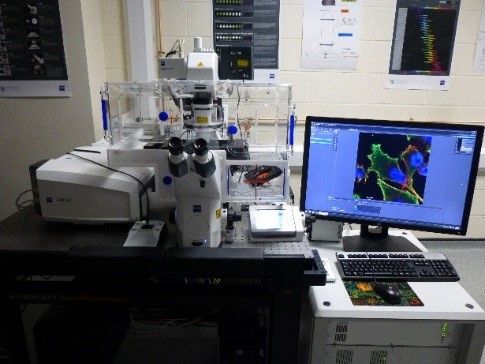 Zeiss LSM880 + AiryScan