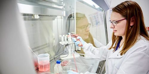 Tissue Culture