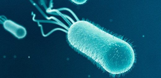 Scientists have developed an innovative way of using one of the biggest problems facing health services—antibiotic resistance—to develop drugs to combat some of the most intractable diseases.