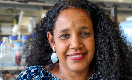 Professor Yoselin Benitez-Alfonso