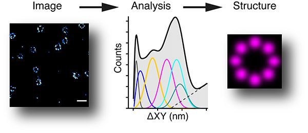Picture of analysis