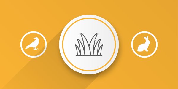 Biosecurity for invasive species research