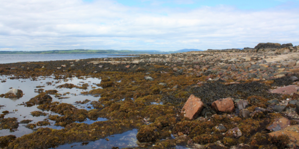 Milport Field Course