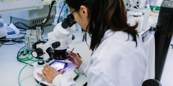 Research degrees
