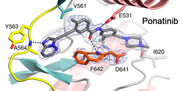 Signaling and cancer research in the structural biology research group at the University of Leeds