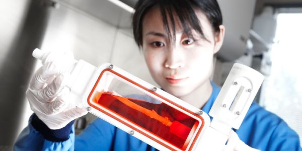 Medical Engineering Vascular
