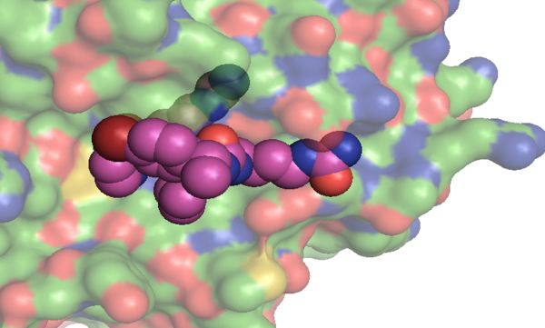 Structural Molecular Biology research within the Faculty of Biological Sciences