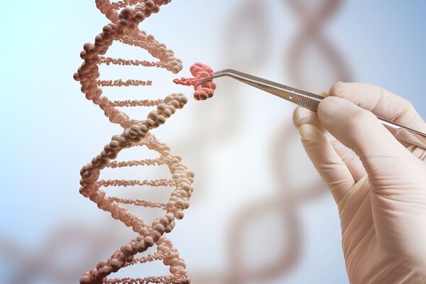 Biotechnology research within the Faculty of Biological Sciences