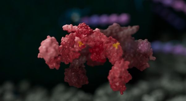 Stuck in action: why molecular glues could be a game-changer for resolving inflammation 