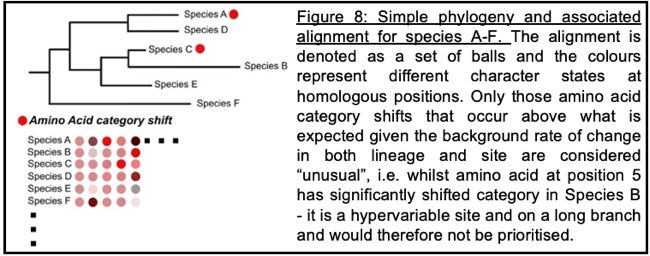 genomics amino acid category shift
