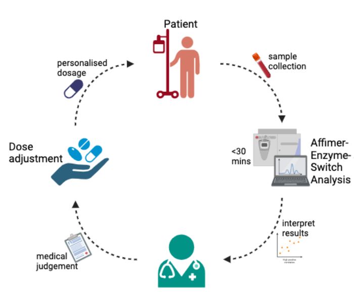 The process of testing: 
Sample collection of patient in hospital
Test analysis using enzyme switch sensors
Doctor makes medical judgement based on test results
Dose adjustment (if required)