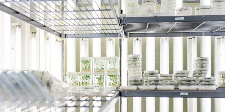 Plant science growth suite facilities document