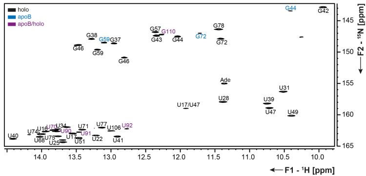 15N detection