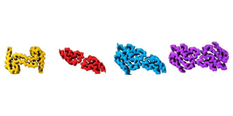 Shapeshifting fibers: capturing the transformation of a rogue protein 