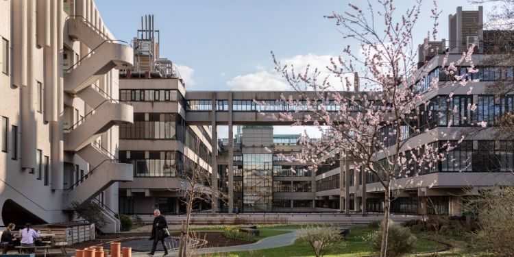 Exterior shot of sustainability garden with high walkway between two buildings in the distance.