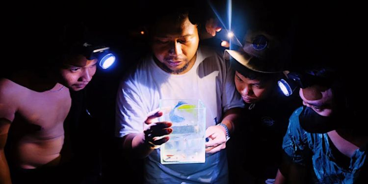 University of Leeds joins international efforts to protect critically endangered fish species