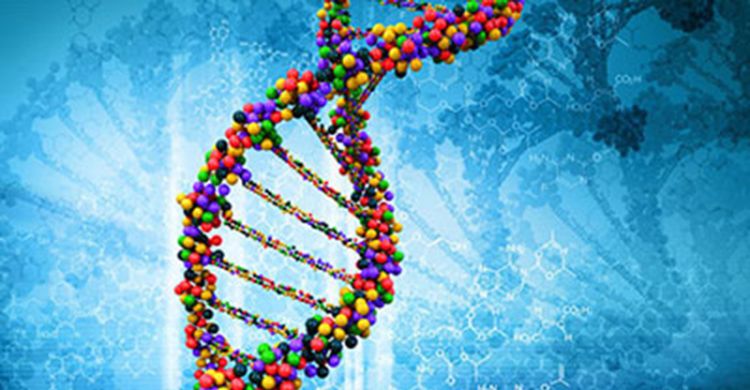 Gene regulation