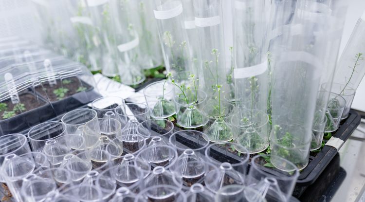 Plant science growth suite close up 1
