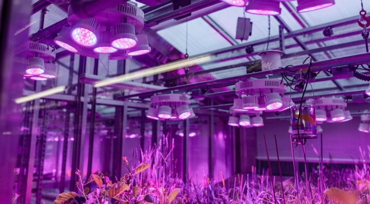 Plant science growth suite close up 4